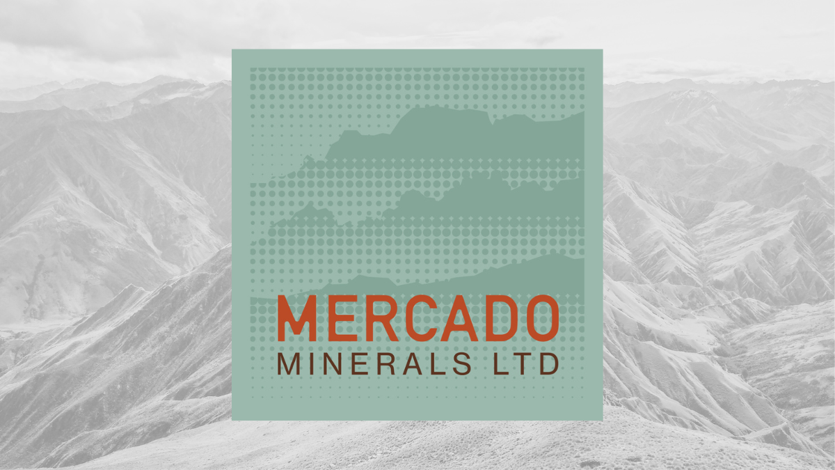 Mercado Minerals anuncia resultados iniciales del proyecto Zamora