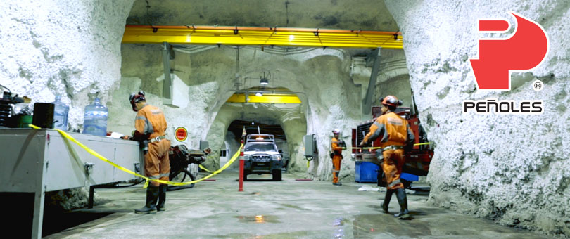 Gobierno da 12 t&iacute;tulos de concesi&oacute;n a Industrias Pe&ntilde;oles y Minera Fresnillo