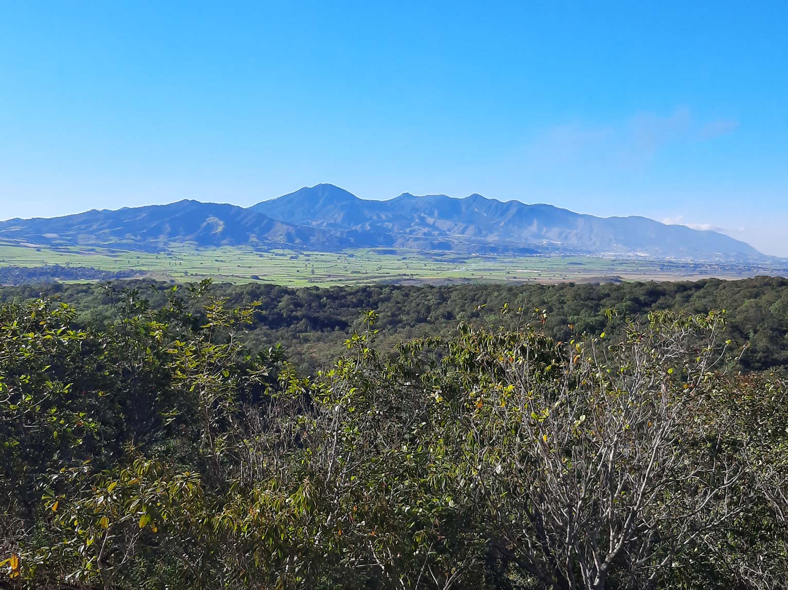 Proyecto minero en Nayarit avanza hacia tr&aacute;mite de exploraci&oacute;n