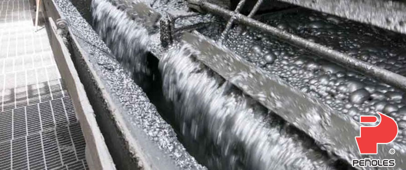 Industrias Pe&ntilde;oles lidera producci&oacute;n de zinc en M&eacute;xico